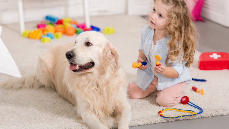 Nueva Iniciativa de Vacuna Matata: Consultas Veterinarias a Domicilio en Torre del Mar y zonas de la Axarquía