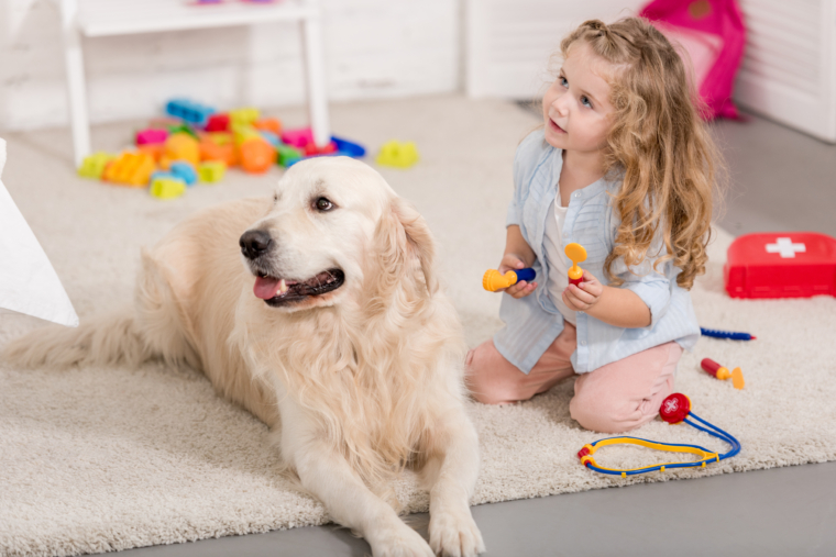 Nueva Iniciativa de Vacuna Matata: Consultas Veterinarias a Domicilio en Torre del Mar y zonas de la Axarquía