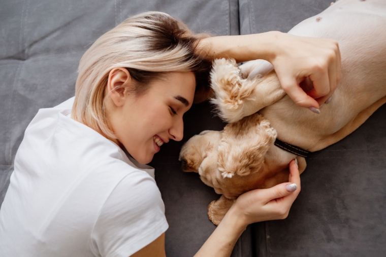 Consultas Veterinarias Online Ahora Disponibles para los Habitantes de Torrox